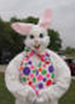 Easter Egg Hunt